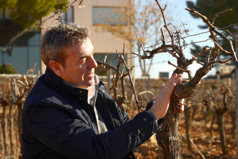Rafa Navarro: Reflexiones de un viticultor de lujo